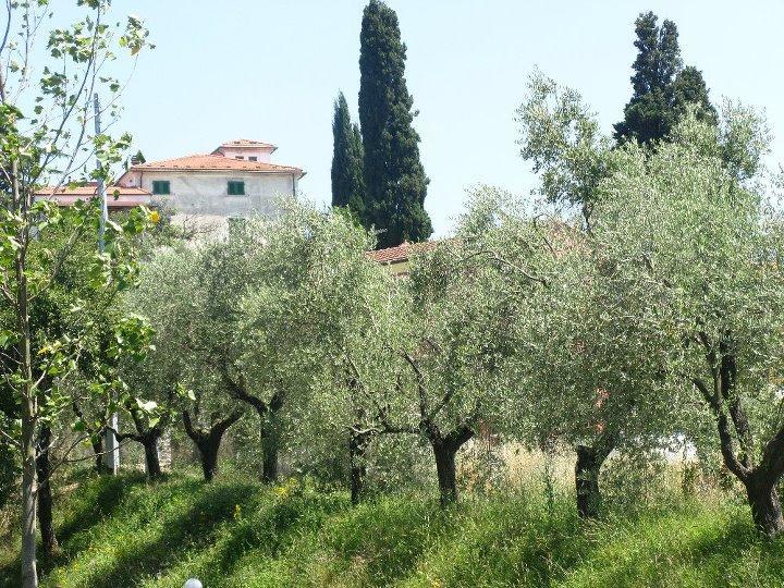 Casali Romei Sarzana Eksteriør bilde